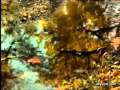 Diana Krall - Autumn Leaves 