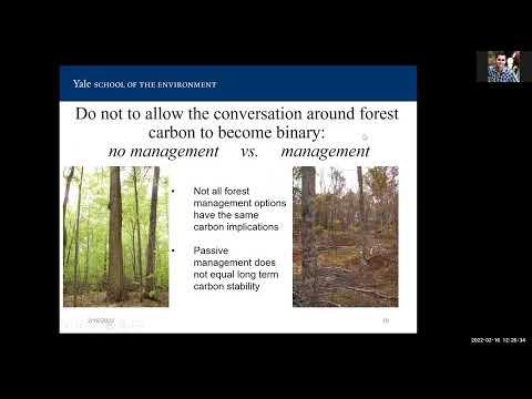 Forest Carbon and Multi-Use Forest Management