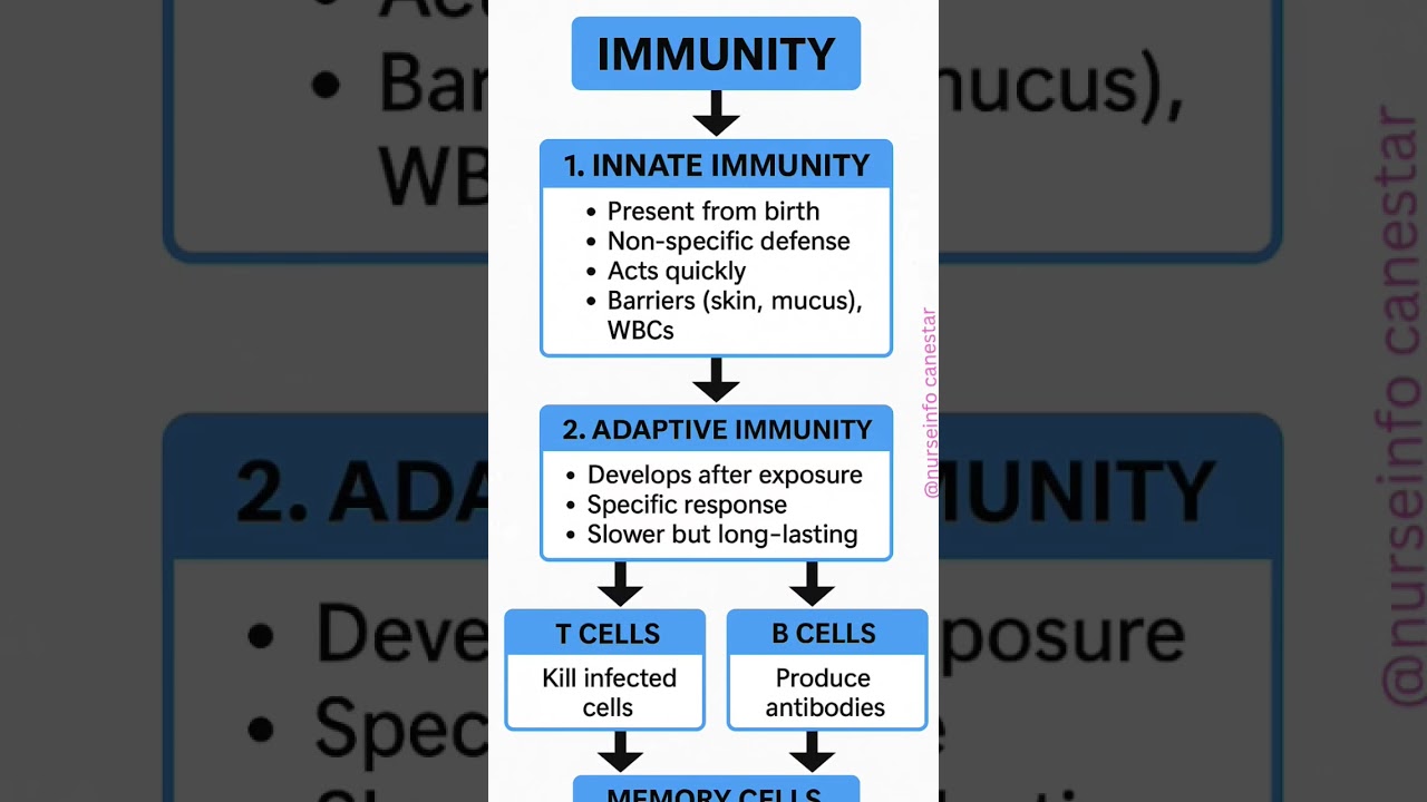 Immunity and its types #immunity #immunesystem