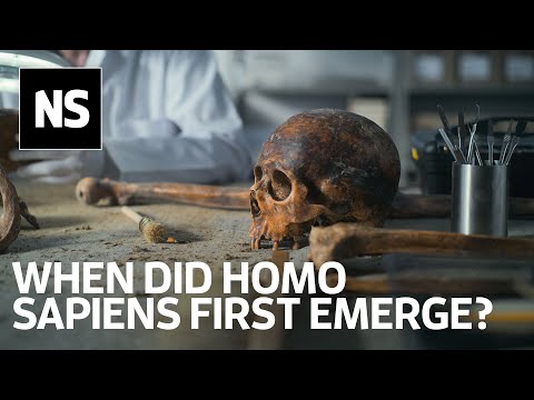 When did Homo sapiens first emerge?  It's a complex question to answer