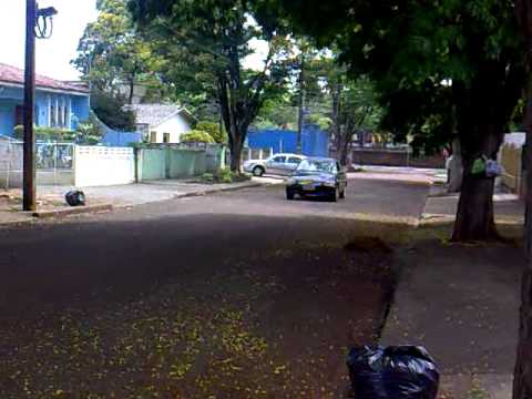 ESCORT ZETEC MARINGA    RENATINHO SCHIAVON