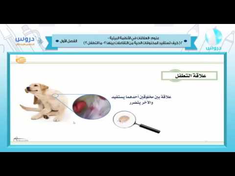 الخامس الابتدائي | الفصل الدراسي الأول 1438 | علوم | العلاقات في الأنظمة البيئية 2