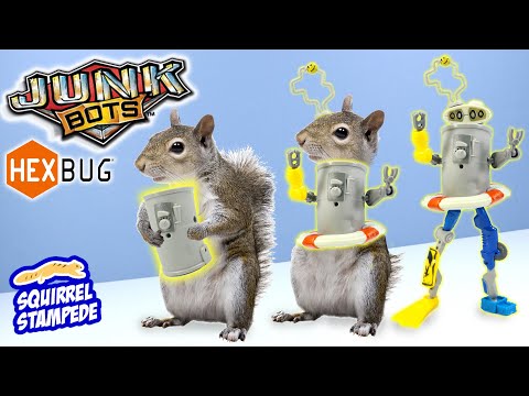 HexBug JunkBots Series 1 Trash Robots Models Review 2020
