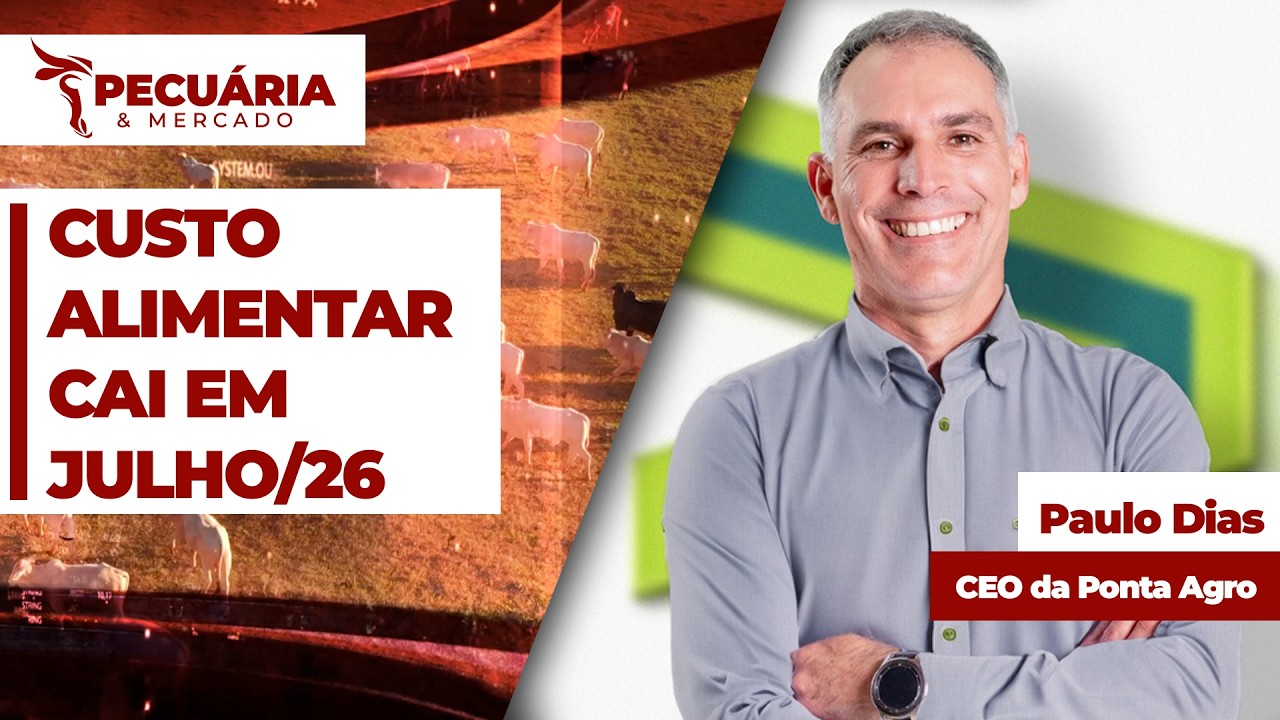 Custo alimentar representa menos da metade das arrobas produzidas no confinamento no Sudeste em...