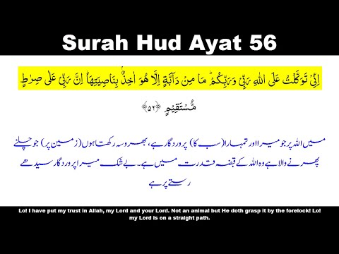 Surah Hud Ayat 56 | Hud ayat 56 | Surah Hud Verse 56 | Inni Tawakkaltu Alallahi Rabbi Wa Rabbikum