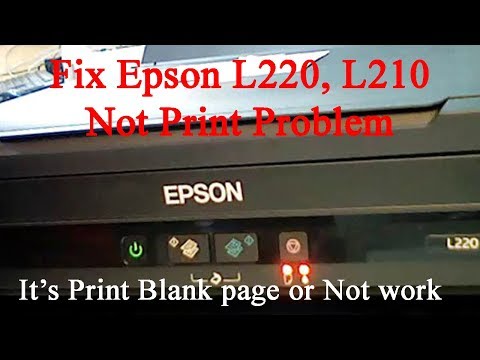 How to fix epson l220 blinking light error