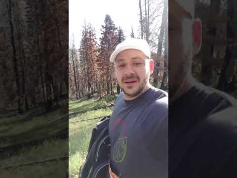 Chris Avery Coaching video.