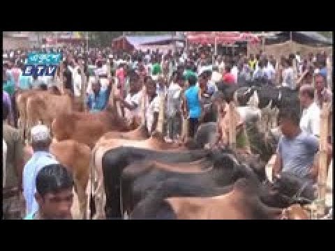হাটগুলোতে ক্রেতা-বিক্রেতারা দর কষাকষিতে ব্যস্ত