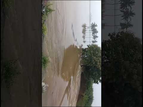 Thanniya paarthala bayama iruk #nature 13 December 2024 😍🥰☔🌧️🌨️