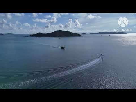 Chơi chuối - COTO 2024