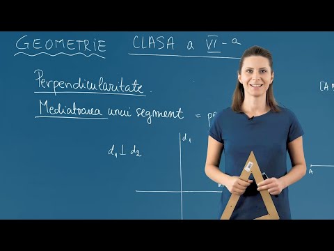 Perpendicularitate / Mediatoarea unui segment - Matematică - Clasa a VI-a