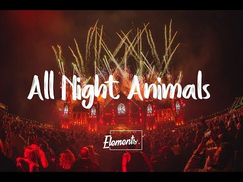 Icona Pop Vs Martin Garrix - All Night Animals (Dubjackers Mashup)