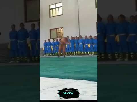 Shaolin Master illusion?? #shorts #shaolin #kongfu