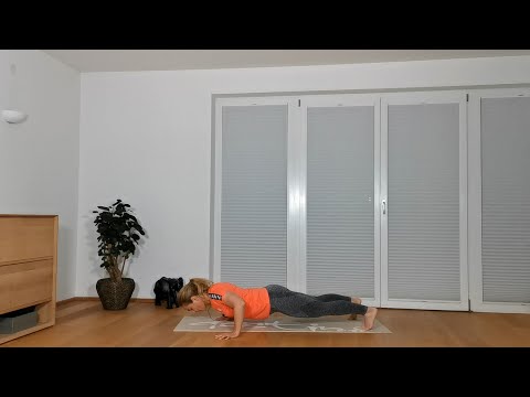 Fit@Home 10 Tage Fit4Summer Workout Programm / Tag 6: On all 4s - Planks and Push-Ups