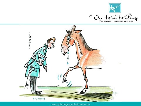 Gallen am Pferdebein