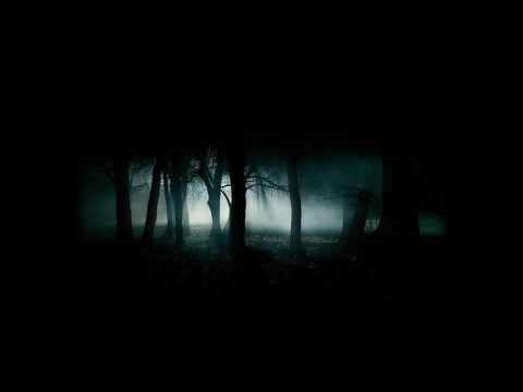 Słoń-Scary