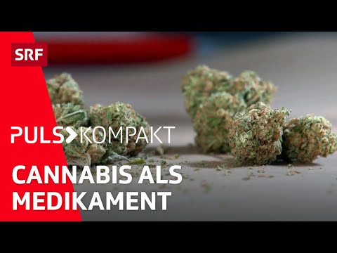 CBD und THC: 4 Tipps für den medizinischen Einsatz von Cannabis | Puls kompakt | SRF Wissen