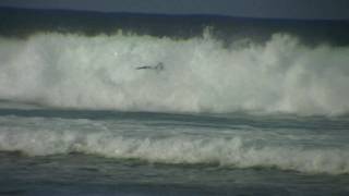 preview picture of video 'Callate La Boca surf video from studio7productions'