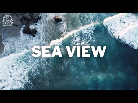 Drone view of the sea beach & sound 4k