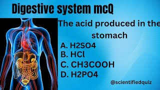 digestive system multiple choice questions and answers