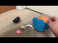 Mr Potato Head Talk And Pop 4