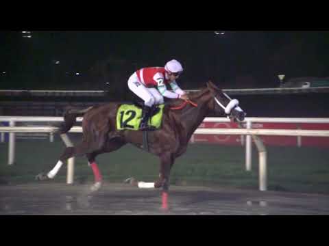 230526 c10 - ELEVADOR - HIPODROMO DE MAROÑAS