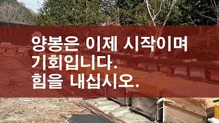 양봉(꿀벌)은 이제 시작이며 기회입니다. 힘을 내십시오.