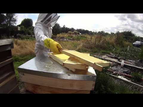 Bernet & Sons - Purest