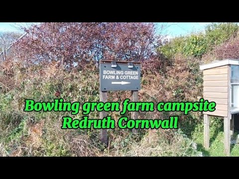Bowling green farm campsite Redruth Cornwall, 2 cute baby Emu's in the video #camping #wildcamping