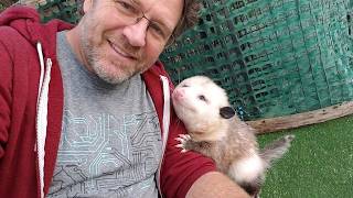 When Baby Animals and Humans Make Life So Beautiful 😍