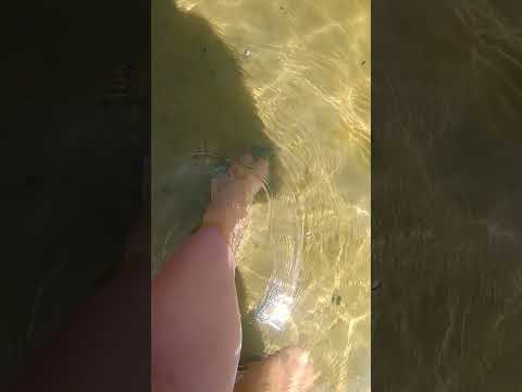 Penedo, Alagoas #ferias  #riosãofrancisco #penedo #penedoal #alagoas #nordeste #turismo #fy