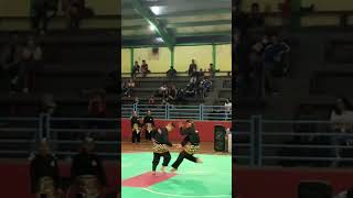 Download lagu Pencak Silat Ganda Putra Indonesia 🇮🇩🔥 part3 #smifighter # #pencaksilat #martialarts # #sports mp3