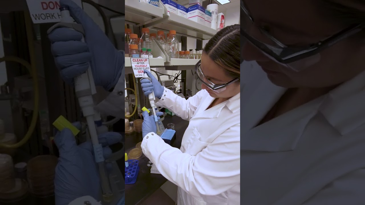 ASU SunDevil Giving Day: Sofia Rocha | #shorts