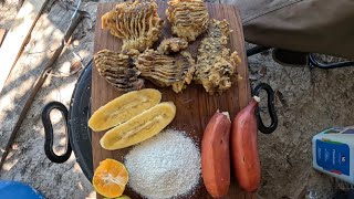 ATAQUE DO TRAIRÃO NA ARTIFICIAL E DIA DE COMER BICUDA FRITA.