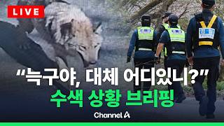 [????라이브를 켜라] [LIVE] 6일 째 돌아오지 않는늑구 …이 시각 수색 상황은?  / 채널A