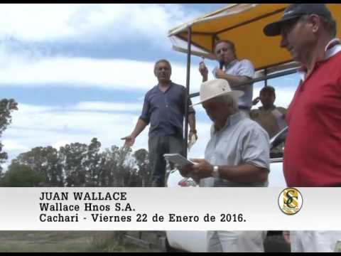 22-01-16 Nota Juan Wallace - Wallace Hnos S.A. - Cacharì.