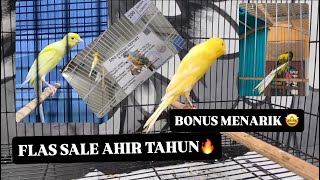 Download lagu JANGAN SAMPAI KETINGGALAN BONUS MENARIK DARI REMONE BF DIY, FLASS SALE AHIR TAHUN 🔥🔥🔥 mp3