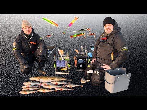 Kirkkaat ensijäät palkitsivat - Upea Ahven- ja haukisaalis - Opi parhaat vinkit - Pilkkiminen