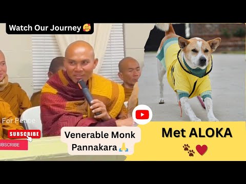 Monk Pannakara 🙏 Meets ALOKA 🐾 A Beautiful Journey #walkforpeace #alokathepeacedog #buddhistmonks 