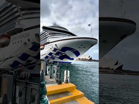 Thumbnail for The Crown Princess, a Princess Cruises ship, is a frequent visitor to Sydney, Australia