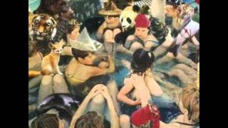 Panda Bear - Comfy in Nautica