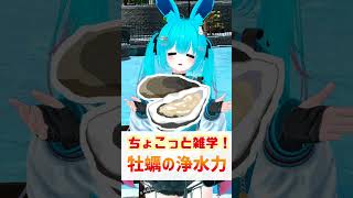 【ちょこっと雑学！】 02.牡蠣の浄水力！　#shorts #バーチャル警備員ムーさん #VRChat #vtuber