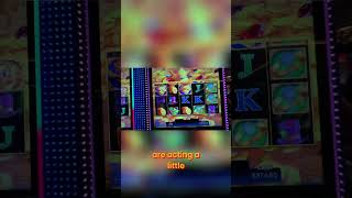 $400 Max Bet Slot Challenge: Dirty Pigs & Big Wins! #shorts