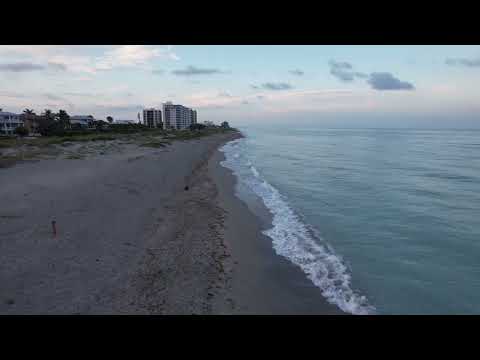 Venice Beach, Florida Morning