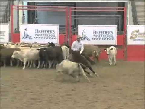 SDP Buffalo Ranch - SDP Buffalo Bill