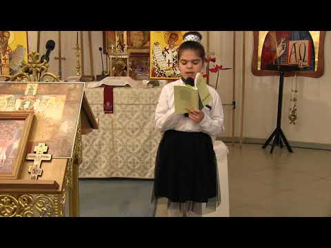 Ana Hiticaş - Nu mă mai bucur azi de primăvară (poezie)