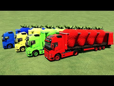 TRANSPORT GIANT STRAWBERRIES WHIT VOLVO TRUCKS - FARMING SIMULATOR 22