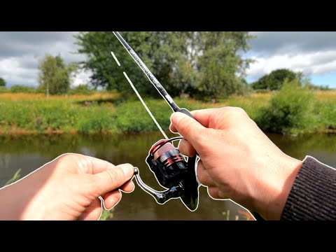 Targeting Chub and Perch - Ultralight Style