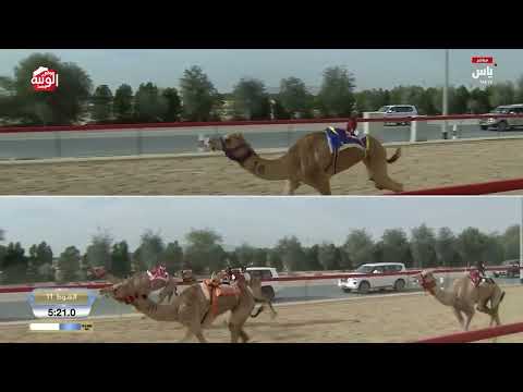 ش 11 (نابلس) لـ ناصر عبدالله أحمد المسند 12:27:62 ، ختامي المرموم 2026/03/30 ثنايا