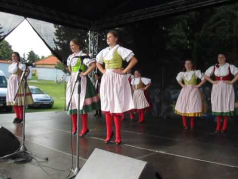 ŠUMAVÁNEK z Klatov č.1  / Polabská Vonička 2016 Nymburk /č.12